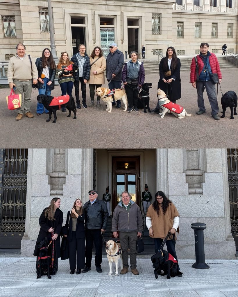Integrantes y colaboradores de FUNDAPPAS junto a varios perros de asistencia y perros en formación frente al Palacio Legislativo, durante las actividades vinculadas a la creación del Día Nacional del Socializador de Perros de Asistencia.