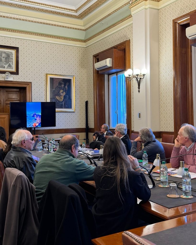 Representantes de FUNDAPPAS participando en una reunión en el Palacio Legislativo para presentar y promover la creación del Día Nacional del Socializador de Perros de Asistencia.
