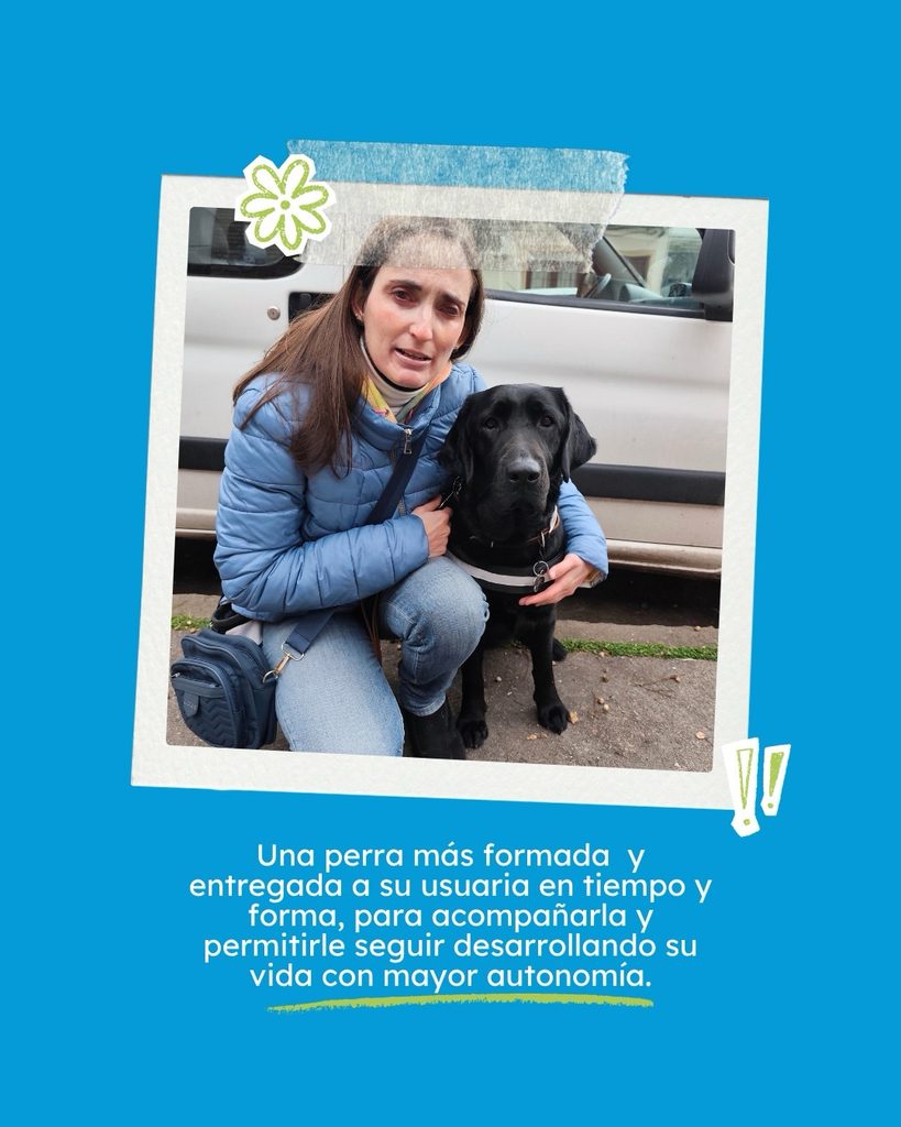 Descripción accesible:
Placa con fondo azul celeste. En el centro hay una fotografía ligeramente inclinada, presentada como si estuviera dentro de una foto impresa pegada con cinta adhesiva. En ella aparece una mujer agachada junto a Duna, una perra Labrador negra. La mujer lleva una campera acolchada celeste, jeans y un bolso azul cruzado; sostiene a Duna junto a ella. Duna está sentada y lleva un arnés de trabajo de color oscuro con una franja clara. La escena es exterior y detrás de ambas se ve parte de un vehículo blanco. Debajo de la fotografía, en letras blancas, se lee: “Una perra más formada y entregada a su usuaria en tiempo y forma, para acompañarla y permitirle seguir desarrollando su vida con mayor autonomía.” La última parte de la frase está subrayada mediante un trazo verde. La placa incluye además pequeños elementos gráficos decorativos verdes y blancos.
