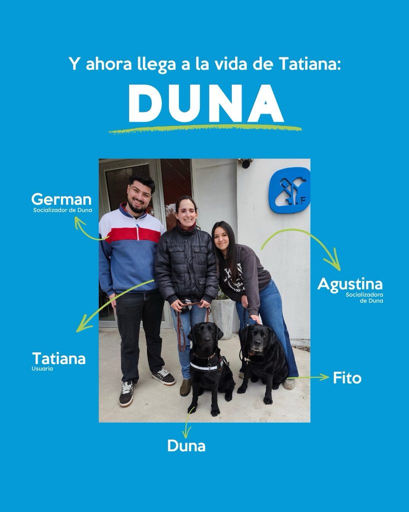 Descripción accesible:
Placa con fondo azul celeste. En la parte superior dice: “Y ahora llega a la vida de Tatiana: DUNA”, con el nombre DUNA destacado en letras blancas mayúsculas de gran tamaño y subrayado con un trazo verde. Debajo hay una fotografía grupal tomada frente a las instalaciones de FUNDAPPAS. Aparecen tres personas y dos perros Labrador negros. En el centro está Tatiana, identificada mediante una flecha verde y el texto “Tatiana, Usuaria”. A su izquierda se encuentra Germán, identificado como “Socializador de Duna”, y a su derecha Agustina, identificada como “Socializadora de Duna”. Frente a ellos están los dos perros: Duna, ubicada hacia el centro y señalada con su nombre, y Fito, ubicado a la derecha y también identificado. Duna lleva un arnés de trabajo oscuro con una banda clara. Fito está sentado junto a ella. Flechas y textos verdes y blancos permiten identificar a cada integrante de la fotografía.