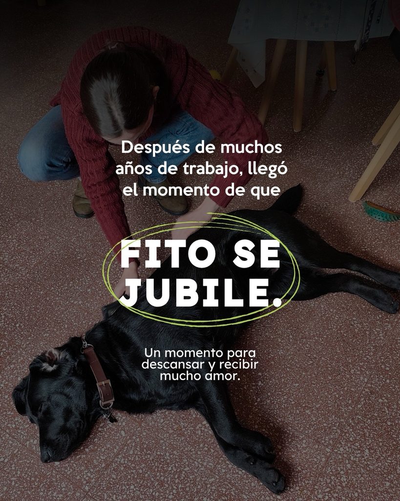 Descripción accesible:
Fotografía de Fito, un Labrador negro, acostado de costado sobre un piso de pequeñas baldosas rojizas en un ambiente interior. Junto a él hay una mujer agachada que lo acaricia con una mano sobre el cuerpo. La fotografía está oscurecida para permitir la lectura del texto blanco superpuesto. En la parte superior dice: “Después de muchos años de trabajo, llegó el momento de que”. En el centro, en letras blancas mayúsculas mucho más grandes y rodeadas por un círculo irregular verde, aparece la frase: “FITO SE JUBILE.” Debajo se lee: “Un momento para descansar y recibir mucho amor.” La imagen comunica el cierre de la etapa de Fito como perro guía y el comienzo de su jubilación.