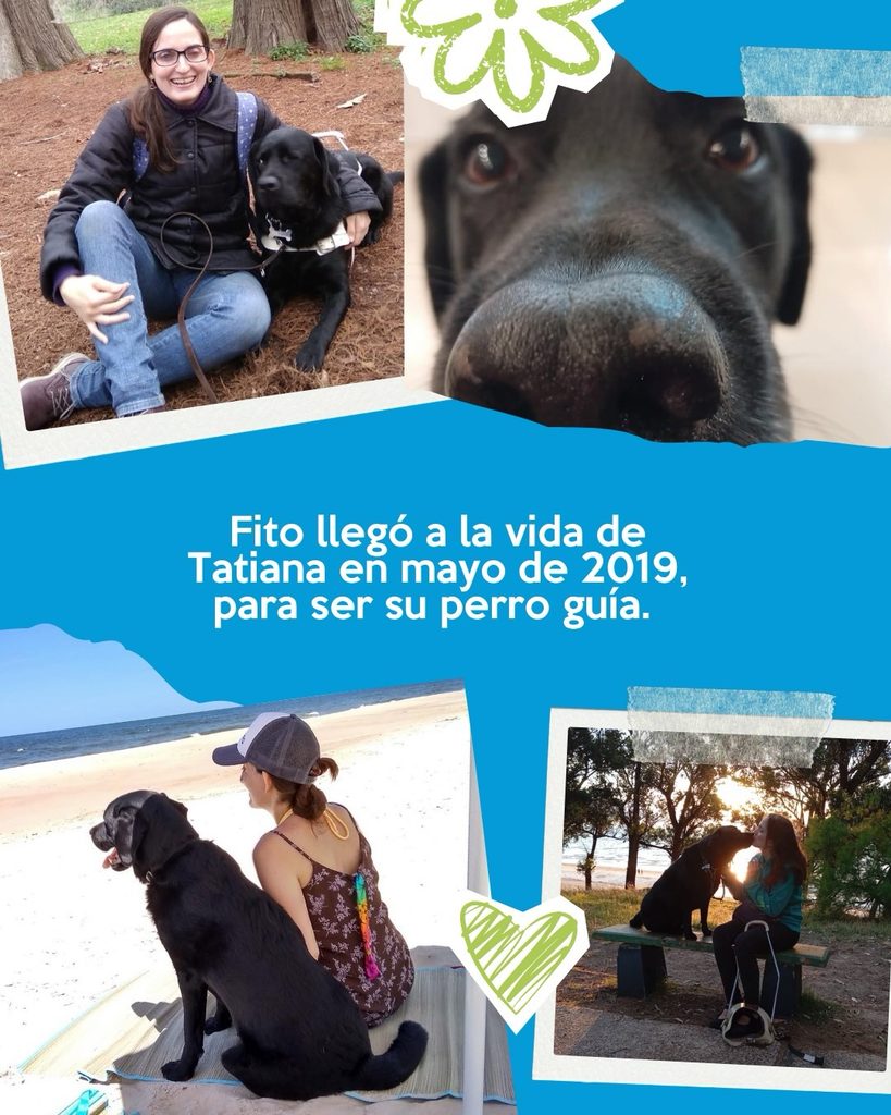Descripción accesible:
Collage sobre fondo azul celeste que reúne cuatro fotografías de Fito, un Labrador negro, junto a Tatiana. En la fotografía superior izquierda, Tatiana está sentada en un espacio arbolado y sonríe junto a Fito, que está a su lado y lleva su arnés de perro guía. A la derecha aparece un primerísimo plano del rostro de Fito, con el hocico negro ocupando gran parte de la imagen y los ojos visibles al fondo. En la fotografía inferior izquierda, Fito está sentado junto a Tatiana frente a una playa; ambos están de espaldas o de perfil mirando hacia el mar. En la fotografía inferior derecha, Fito y Tatiana están frente a frente junto a un banco, en un entorno natural iluminado por la luz del atardecer. En el centro del collage, en letras blancas, se lee: “Fito llegó a la vida de Tatiana en mayo de 2019, para ser su perro guía.” La composición incluye elementos decorativos de color verde, blanco y celeste, como una flor, cintas adhesivas simuladas y un corazón dibujado.Descripción accesible:
Collage sobre fondo azul celeste que reúne cuatro fotografías de Fito, un Labrador negro, junto a Tatiana. En la fotografía superior izquierda, Tatiana está sentada en un espacio arbolado y sonríe junto a Fito, que está a su lado y lleva su arnés de perro guía. A la derecha aparece un primerísimo plano del rostro de Fito, con el hocico negro ocupando gran parte de la imagen y los ojos visibles al fondo. En la fotografía inferior izquierda, Fito está sentado junto a Tatiana frente a una playa; ambos están de espaldas o de perfil mirando hacia el mar. En la fotografía inferior derecha, Fito y Tatiana están frente a frente junto a un banco, en un entorno natural iluminado por la luz del atardecer. En el centro del collage, en letras blancas, se lee: “Fito llegó a la vida de Tatiana en mayo de 2019, para ser su perro guía.” La composición incluye elementos decorativos de color verde, blanco y celeste, como una flor, cintas adhesivas simuladas y un corazón dibujado.