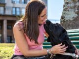 Descripción Accesible: Una mujer sentada en un banco verde al aire libre acaricia a un perro labrador negro. Ambos acercan sus rostros y el perro le lame cariñosamente la cara. La mujer sonríe mientras lo sostiene con las dos manos. Al fondo se observan una palmera, césped y edificios desenfocados. La escena transmite afecto, confianza y un vínculo cercano entre la mujer y el perro.Una mujer sentada en un banco verde al aire libre acaricia a un perro labrador negro. Ambos acercan sus rostros y el perro le lame cariñosamente la cara. La mujer sonríe mientras lo sostiene con las dos manos. Al fondo se observan una palmera, césped y edificios desenfocados. La escena transmite afecto, confianza y un vínculo cercano entre la mujer y el perro.