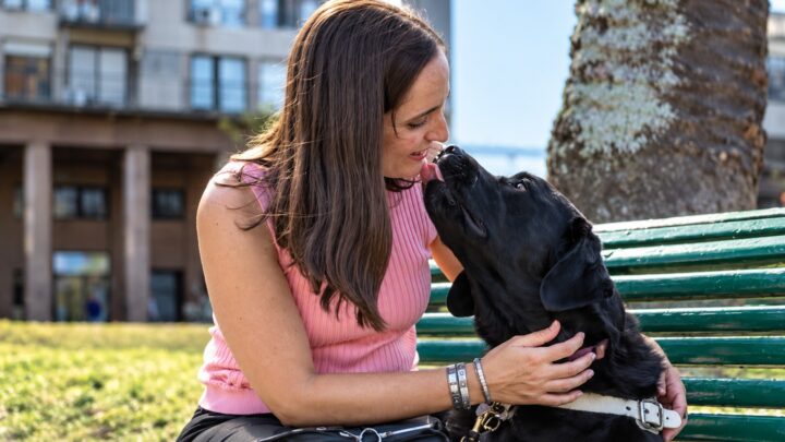 Descripción Accesible: Una mujer sentada en un banco verde al aire libre acaricia a un perro labrador negro. Ambos acercan sus rostros y el perro le lame cariñosamente la cara. La mujer sonríe mientras lo sostiene con las dos manos. Al fondo se observan una palmera, césped y edificios desenfocados. La escena transmite afecto, confianza y un vínculo cercano entre la mujer y el perro.Una mujer sentada en un banco verde al aire libre acaricia a un perro labrador negro. Ambos acercan sus rostros y el perro le lame cariñosamente la cara. La mujer sonríe mientras lo sostiene con las dos manos. Al fondo se observan una palmera, césped y edificios desenfocados. La escena transmite afecto, confianza y un vínculo cercano entre la mujer y el perro.